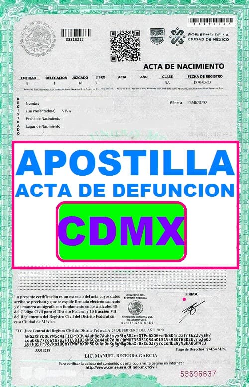 File:Partida de nacimiento Argentina con Apostilla de la Haya.jpg